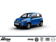 Fiat Panda, Hybrid TFT Tacho, Jahr 2022 - Herford (Hansestadt)