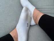 Getragene Socken für dich , Duftwäsche - Münster Zentrum