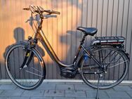 Hercules Roberta 7 E Bike / 50 Rahmen - Greven (Nordrhein-Westfalen)