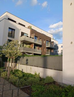 Schöne Einzimmerwohnung in Berlin-Grünau (Südosten Berlins) - von privat zu verkaufen - Berlin