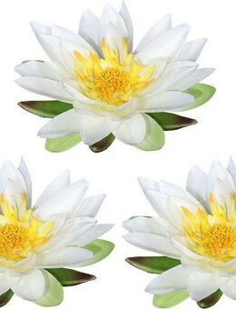 Kunstblume Lotusblüte, Creativ green, Höhe 5 cm, im 3er Set