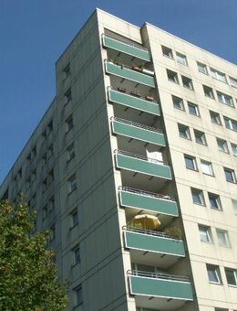 Zusammengelegte und modernisierte 3-Zimme-Wohnung - Perfekt für WG´s! - Münster