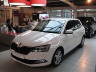 Skoda Fabia, 1.0 TSI Ambition - 1, Jahr 2021 - Heideck