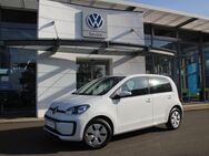 VW up, , Jahr 2022 - Mücke