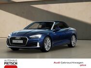 Audi A5, Cabriolet 35 TFSI Dig, Jahr 2024 - Bünde