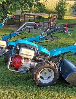 Bertolini Bodenfräse mieten leihen Gartenfräse Fräse Motorhacke Bodenhacke - Fridolfing