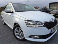 Skoda Fabia Combi Ambition DSG Navigation Einparkhilfe - Nauen