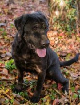 ISKA - spielend lernen...lernend spielen - Overath