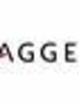 Sachbearbeiter (m/w/d) in der Ordnungsverwaltung - Gaggenau