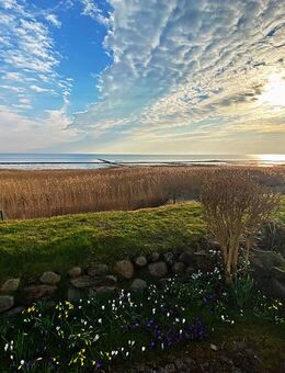 Keitum auf Sylt - einzigartiger Wattblick zum genießen - Sylt