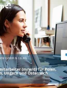 Vertriebsmitarbeiter (m/w/d) für Polen, Tschechien, Ungarn und Österreich - Köln