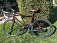 Carbon Rennrad - Neu Ulm