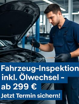 Fahrzeug-Inspektion inkl. Öl- & Filterwechsel – ab 299 € – Fair & Gründlich! - Hamburg