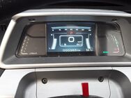 Kabienenroller 45km/h zu verkaufen - Rendsburg