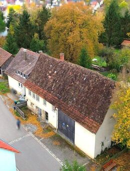 Charmantes Wohnhaus mit zwei Wohneinheiten, vielseitig nutzbarer Scheune und weitläufigem Grundstück - Steinheim (Murr)