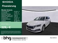 Skoda Octavia, 2.0 TDI Combi Style Octavia Combi St, Jahr 2023 - Freudenstadt