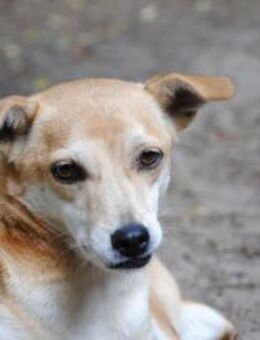 Dori sucht Menschen mit Zeit für sie - Berlin