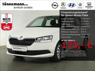 Skoda Fabia, COMBI COOL PLUS MPI, Jahr 2020 - Coesfeld