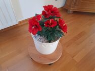 Kunstpflanze rot blühend für die Wohnung oder Terrasse zu verkaufen. - Berkenthin