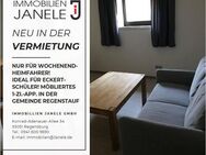 Nur für Wochenendheimfahrer! - ideal für Eckert-Schüler! Möbliertes 1-Zi.-App. in der Gemeinde Regenstauf - Regenstauf