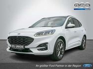 Ford Kuga 2.5 Plug-In Hybrid ST-Line HUD LED PANO - Halle (Saale)