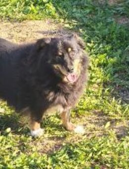 Tina sanft & schüchtern sucht Liebe - Schlitz