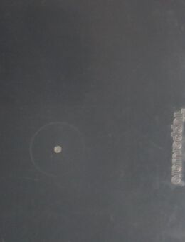 Tupper Schüssel - Wain