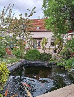 Vielseitig nutzbares Haus in der Ortsmitte von Laumersheim - Laumersheim