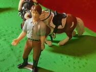 Schleich Ponyschule - Bernau (Berlin)