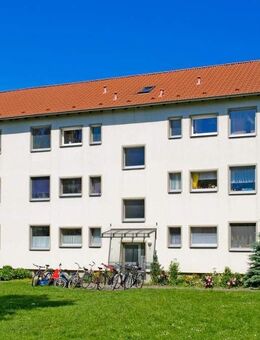 EG Wohnung mit 3 Zimmern in Ahlen - Ahlen