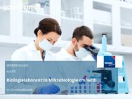 Biologielaborant:in Mikrobiologie (m/w/d) - Großwallstadt