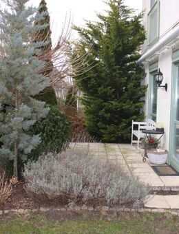 DEUTSCHMANN IMMOBILIEN ***** ivd - Vermietetes Einfamilienhaus in begehrter Lage von Panketal! - Panketal