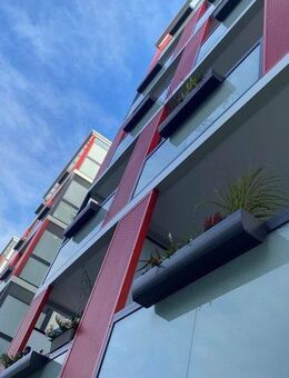 4-Zimmer-Wohnung - frisch saniert - Dessau-Roßlau