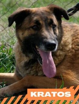 Kratos - neugieriger Wassermann - Berlin