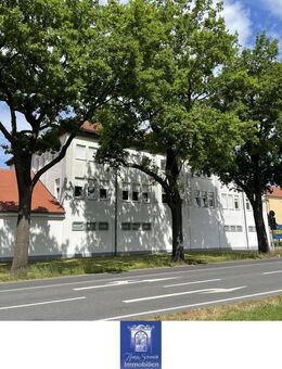 Perfekte 2-Zimmerwohnung mit großem Wohnzimmer und Duschbad in Senftenberg! - Senftenberg