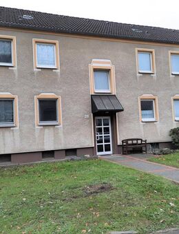 Bringen Sie Ihr Herz mit, es wird sich wohlfühlen! - Marl (Nordrhein-Westfalen)