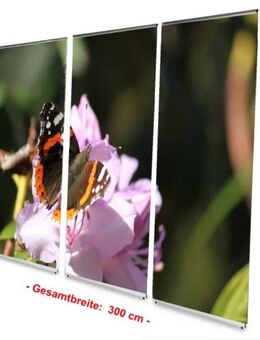 Bestattungsbedarf: L-Banner Display-Set "Admiral auf Blüte" - 300 x 200 cm - hochwertige Dekoration für Bestattung, Trauerhalle, Bestatter - Wilhelmshaven Zentrum