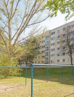 Schöne 3 Raumwohnung mit Balkon! - Dresden