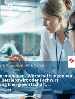 Konzessionsmanager - Wirtschaftsingenieur, Ingenieur, Betriebswirt oder Fachwirt Fachrichtung Energiewirtschaft, Wirtschaft, BWL, Verwaltung o. ä. (m/w/d) Energieversorger - Netzbetrieb - Lahr (Schwarzwald)