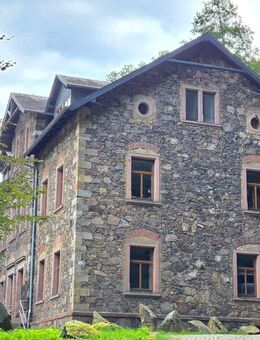 Tolle 2 Raum- Dachgeschoss- Wohnung unterhalb der Burg Kriebstein zu vermieten! - Kriebstein