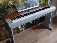 E-Piano YAMAHA P-120S - Teistungen