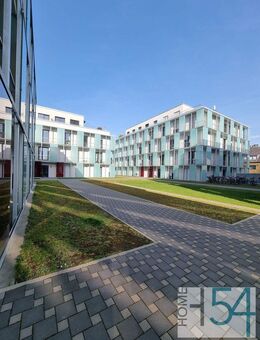 Schöne 1-Zimmer-Wohnung an den Kaiserthermen mit 19,92 m² Wfl. - Trier