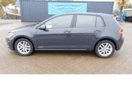 VW Golf, 1.6 VII Comfortline TDI 4Trg, Jahr 2019 - Vordorf