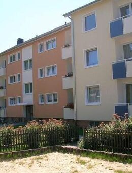 3-Zimmer-Wohnung in Detmold Heidenoldendorf - Detmold