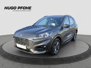 Ford Kuga, 2.0 ST-Line EcoBlue 88kW Automatik, Jahr 2023 - Oldenburg (Holstein)