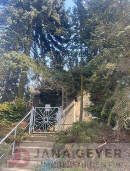 BAD SCHMIEDEBERG * GROSSES GRUNDSTÜCK mit EINFAMILIENHAUS (sanierungsbedürftig) * leerstehend * ab sofort zur Verfügung - Bad Schmiedeberg