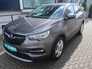 Opel Grandland X, Hybrid Elegance, Jahr 2021 - Hachenburg