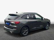 Ford Kuga 2.5 Duratec PHEV ST-LINE X - Magdeburg