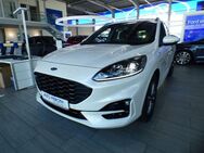 Ford Kuga 1.5 EcoBoost ST-LINE - Worms