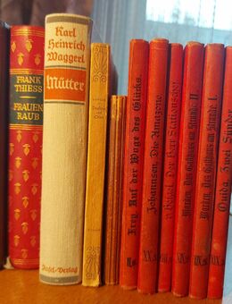 Antiquarische Bücher ab 1886 - Spaichingen